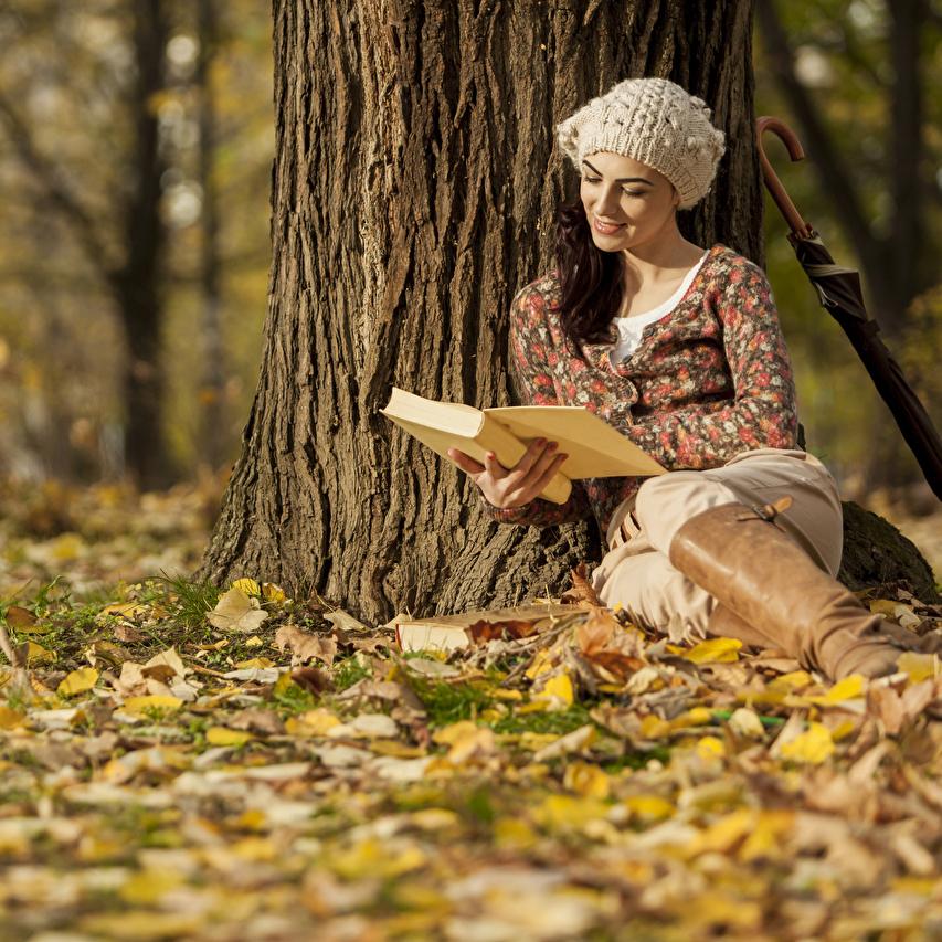 Новая книга Ольги Примаченко, искусство управления и юмор: 3 книги, которые стоит прочитать этой осенью