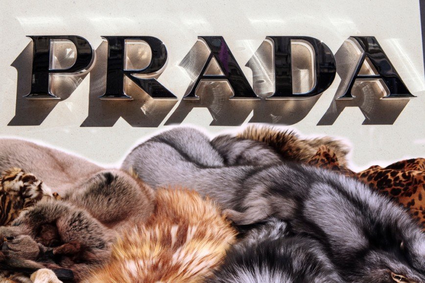 Prada объявила об отказе от натурального меха