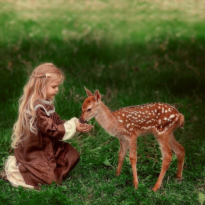 Животные дети просмотра. Олениха с олененком. Девочка с олененком. Для детей. Животные. Дикие животные для детей.