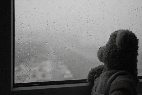 Холодное стекло, холодный дождь, у Мишки холод и грусть в сердце...  Т_С