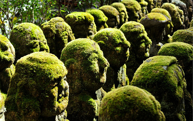  1200 каменных статуй в буддистском храме в Киото