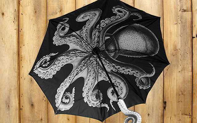 Оригинальные зонты для нескучной осени