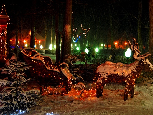 Эти олени украшают резиденцию белорусского Деда Мороза в Беловежской пуще.  Akela