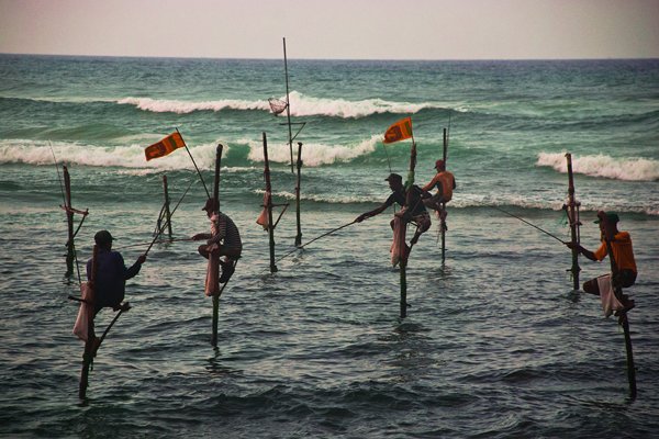 Ланкийские рыбаки на рассвете LIM0NKA