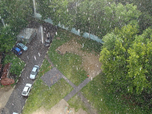 вид с балкона на двор и дождь Анчутик