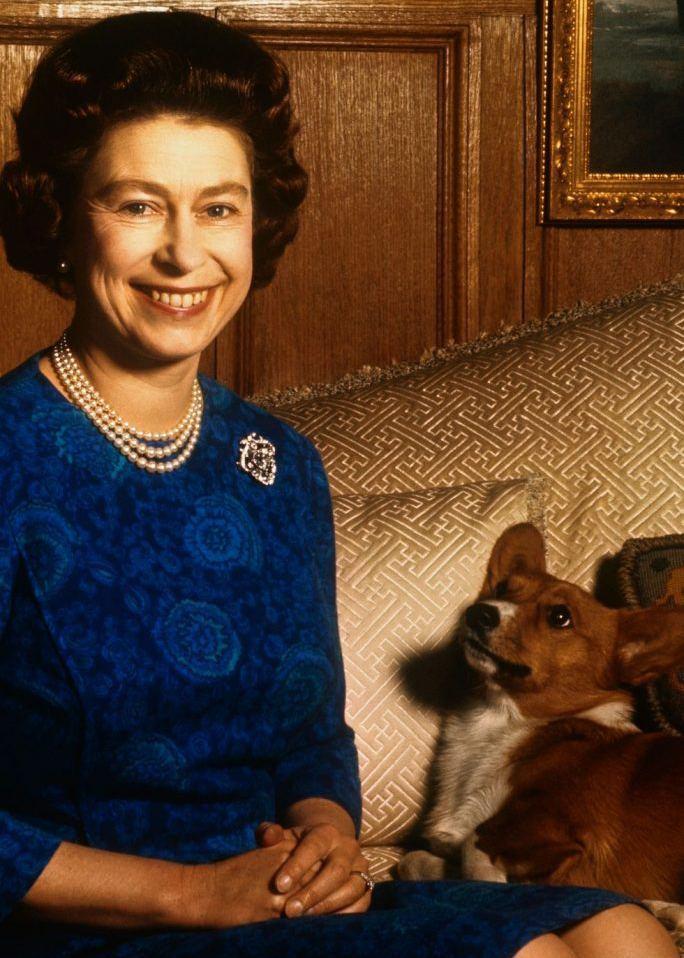 Королева Елизавета II и корги