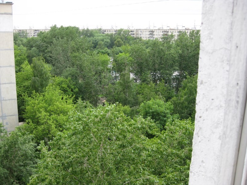 Моя семья (за исключением старшего сына) живёт на окраине Москвы в относительно тихом, относительно зелёном и (слава небесам) непрестижном районе. Вид из окна. Под окнами здание детского сада, за ним девятиэтажный дом, а совсем недалеко -- Кусковский парк. Фотография 2008 года, но вид из окна за этот период не изменился...