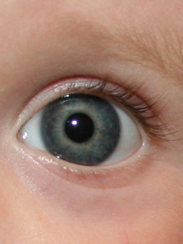 Прекрасный глаз моей прекрасной дочурки Алены Superbelka