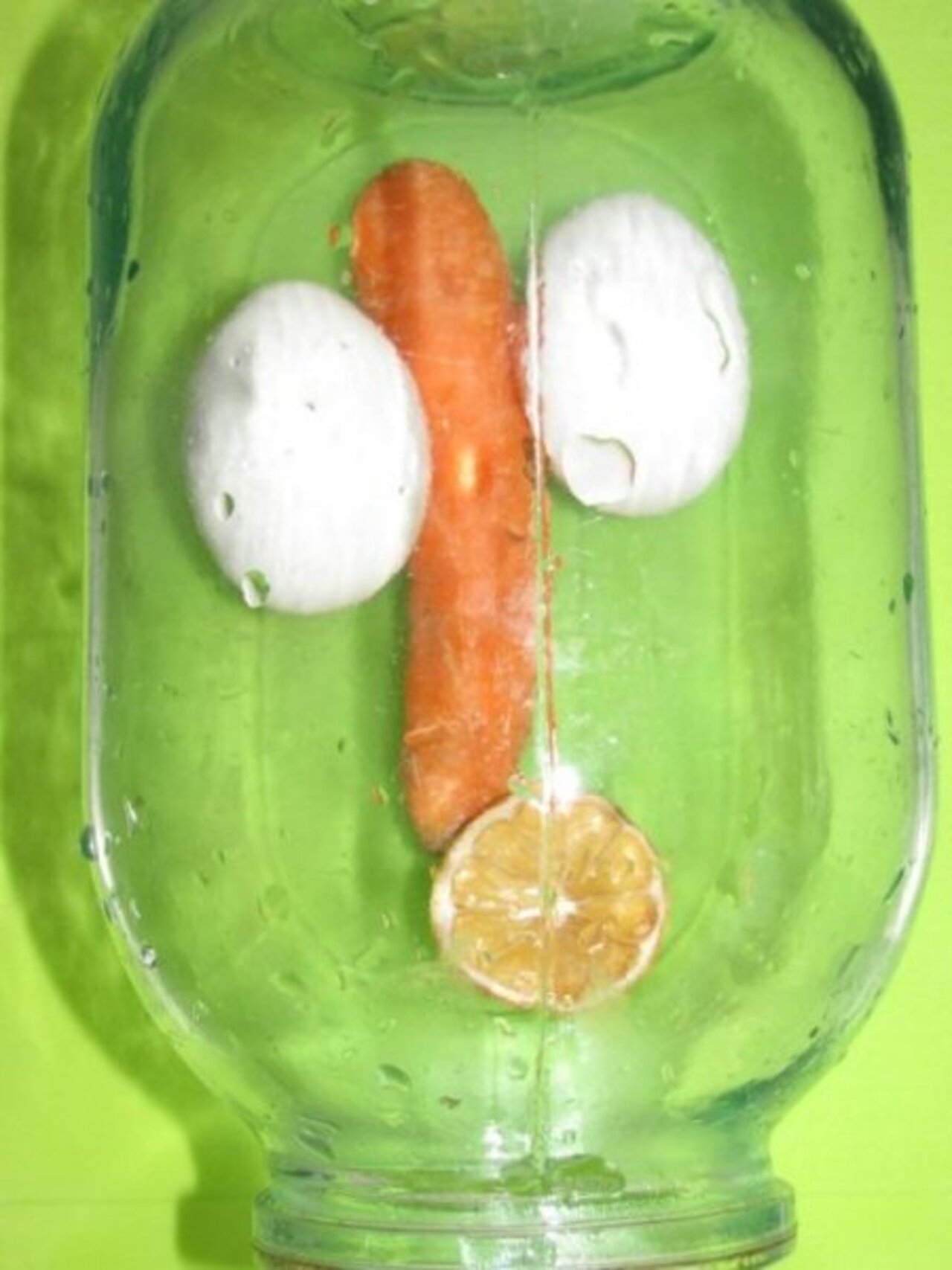 Крик - 2011 (голодный ) Подражая Эдварду Мунку и воображая себя Джузеппе Арчимбольдо. 
(стекло,вода,яйца,морковь,засохший лимон)  Анжик