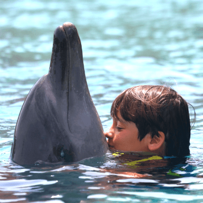 мальчик с другим животным (мальчик с дельфином) ✔☾˜”*°•D-I-A•°*”˜☽®