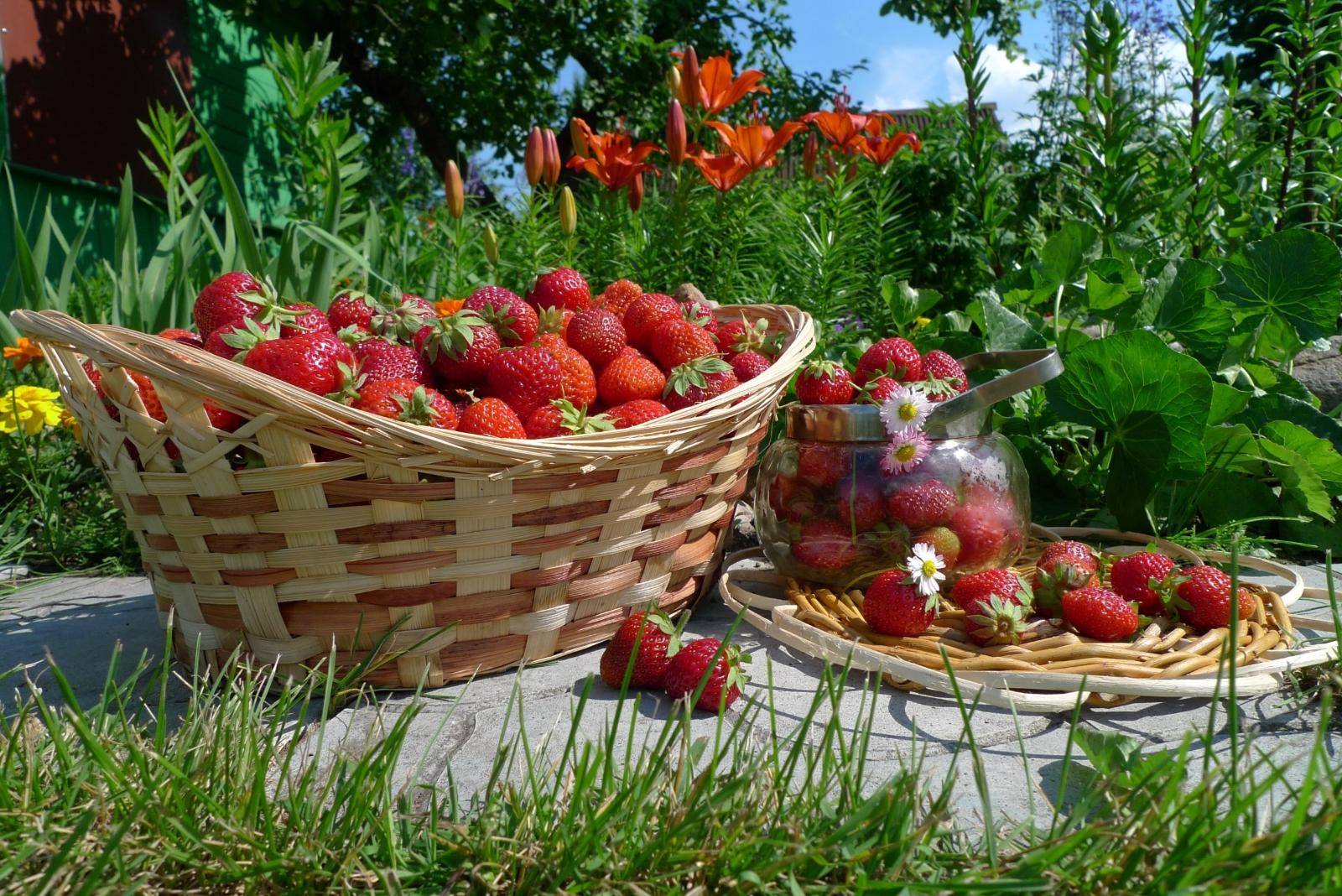 Контролируйте порцию ягод и фруктов