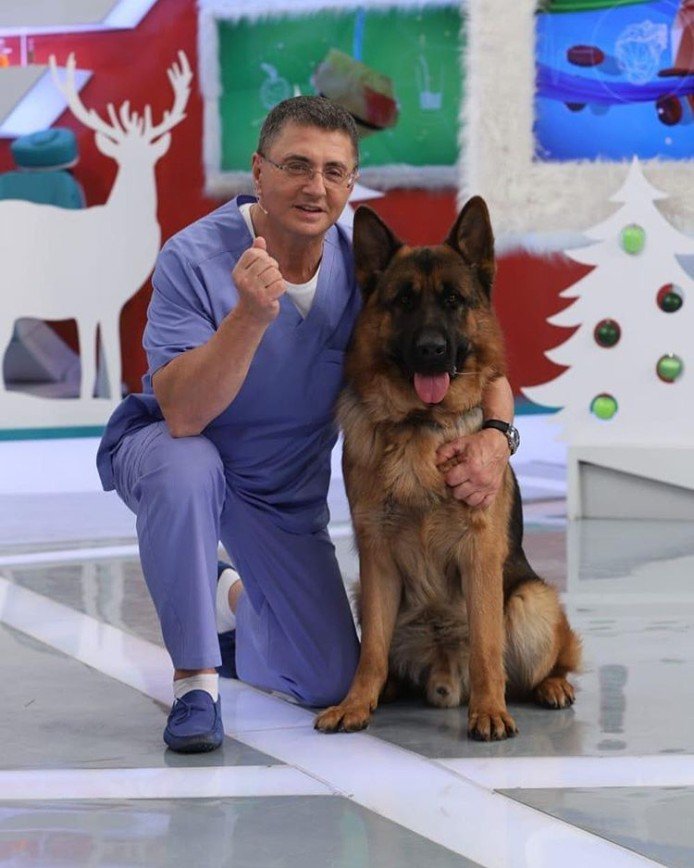 Лучшее средство от гипертонии: доктор Мясников призывает дарить собак