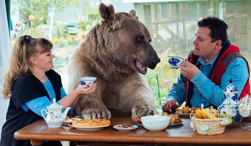 Медведь Степан и его семья