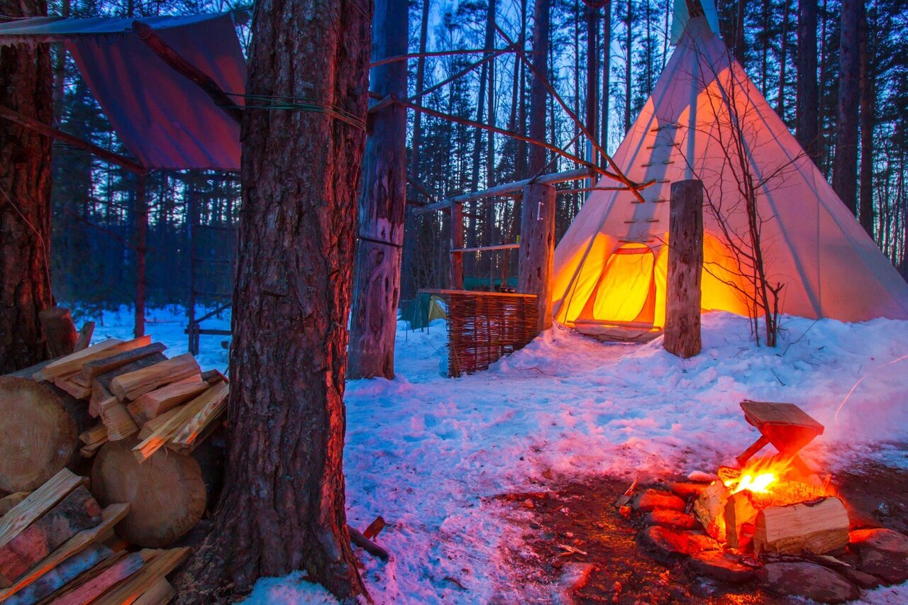 Зимний лес и палатка