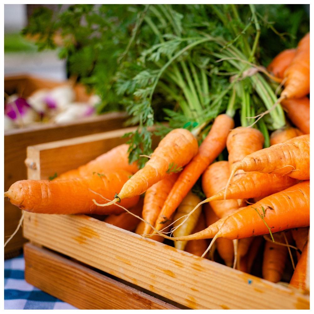 В чем польза моркови? Ответ знает Елена Малышева